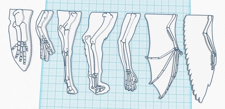 3D model of homologous bone structures from 7 different animals